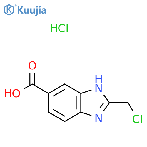 2-(chloromethyl)-1H-1,3-benzodiazole-5-carboxylic acid hydrochloride structure