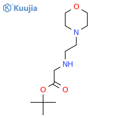 tert-butyl 2-{2-(morpholin-4-yl)ethylamino}acetate structure