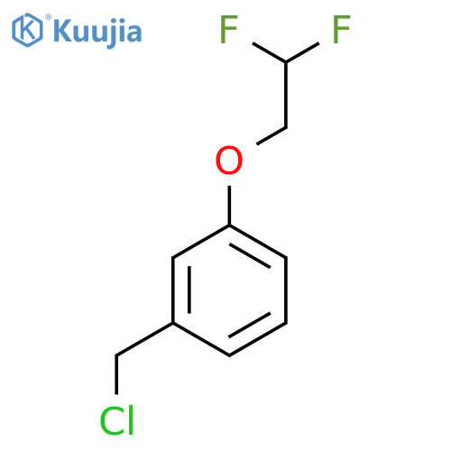 3-(chloromethyl)phenyl 2,2-difluoroethyl ether structure