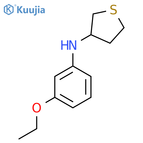 N-(3-ethoxyphenyl)thiolan-3-amine structure