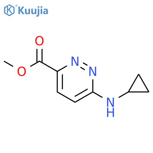 Methyl 6-(Cyclopropylamino)pyridazine-3-carboxylate structure