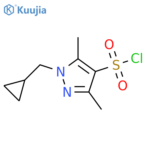 1-(cyclopropylmethyl)-3,5-dimethyl-1H-pyrazole-4-sulfonyl chloride structure