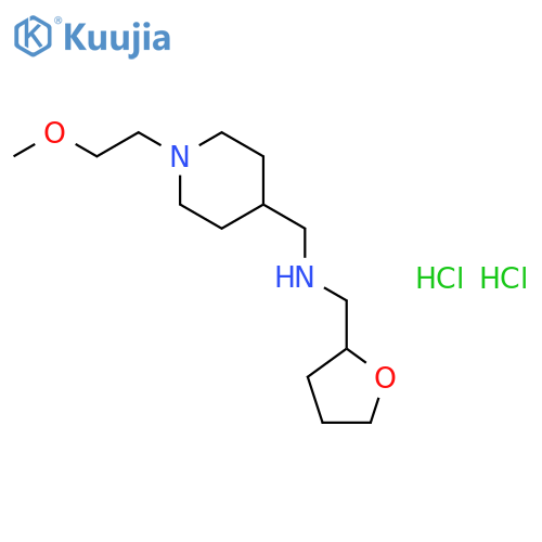 {1-(2-Methoxyethyl)piperidin-4-ylmethyl}(tetrahy-drofuran-2-ylmethyl)amine Dihydrochloride structure