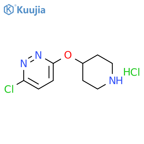 3-chloro-6-(piperidin-4-yloxy)pyridazine hydrochloride structure