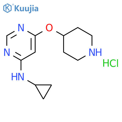 N-Cyclopropyl-6-(piperidin-4-yloxy)pyrimidin-4-amine hydrochloride structure