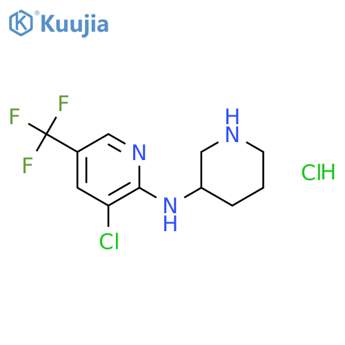 (3-Chloro-5-trifluoromethyl-pyridin-2-yl)-piperidin-3-yl-amine hydrochloride structure
