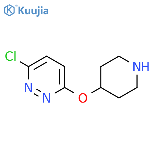 3-chloro-6-(piperidin-4-yloxy)pyridazine structure