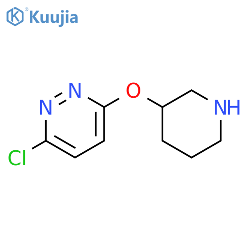 3-chloro-6-(piperidin-3-yloxy)pyridazine structure