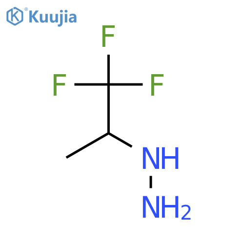 (1,1,1-trifluoropropan-2-yl)hydrazine structure