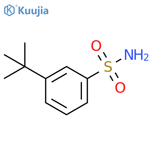 3-tert-butylbenzene-1-sulfonamide structure