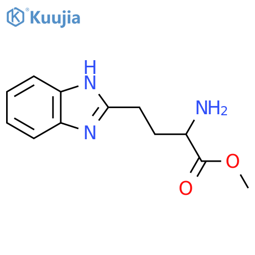 methyl 2-amino-4-(1H-1,3-benzodiazol-2-yl)butanoate structure