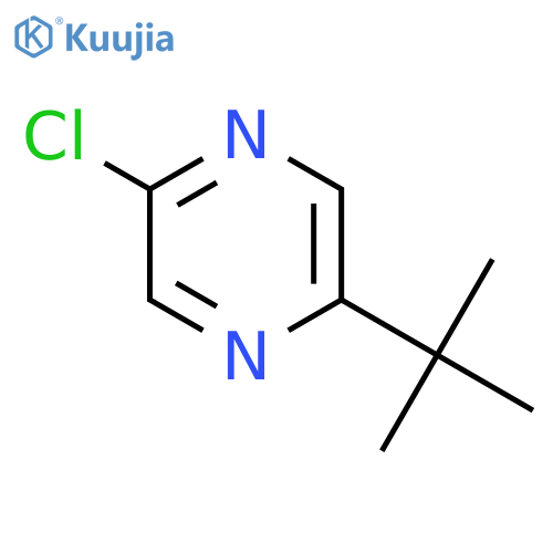 2-tert-butyl-5-chloropyrazine structure