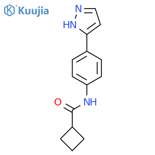 N-[4-(1H-pyrazol-3-yl)phenyl]cyclobutanecarboxamide structure