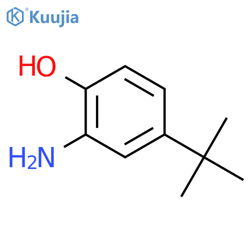 2-Amino-4-tert-butylphenol structure