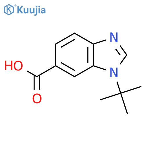 1-t-Butyl-benzoimidazole-6-carboxylic acid structure