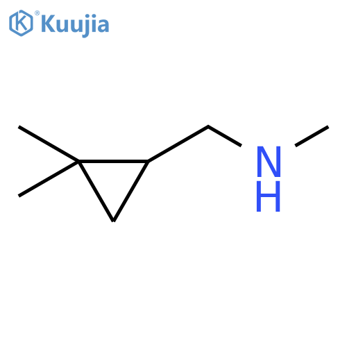 [(2,2-dimethylcyclopropyl)methyl](methyl)amine structure