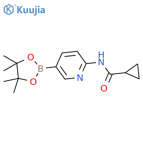 N-[5-(4,4,5,5-tetramethyl-1,3,2-dioxaborolan-2-yl)-2-pyridinyl]Cyclopropanecarboxamide structure