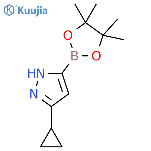 3-Cyclopropyl-1H-pyrazole-5-boronic acid pinacol ester structure