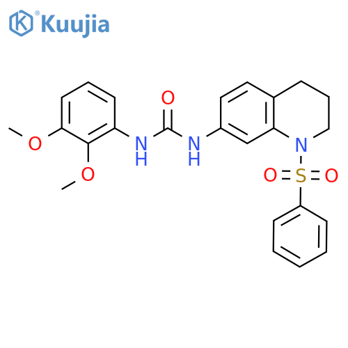 3-1-(benzenesulfonyl)-1,2,3,4-tetrahydroquinolin-7-yl-1-(2,3-dimethoxyphenyl)urea structure