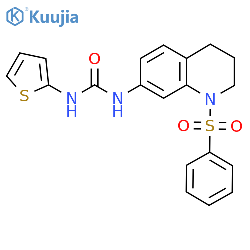 1-1-(benzenesulfonyl)-1,2,3,4-tetrahydroquinolin-7-yl-3-(thiophen-2-yl)urea structure