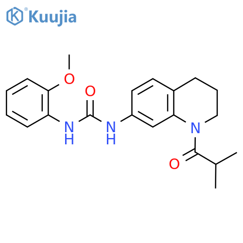 1-(2-methoxyphenyl)-3-1-(2-methylpropanoyl)-1,2,3,4-tetrahydroquinolin-7-ylurea structure