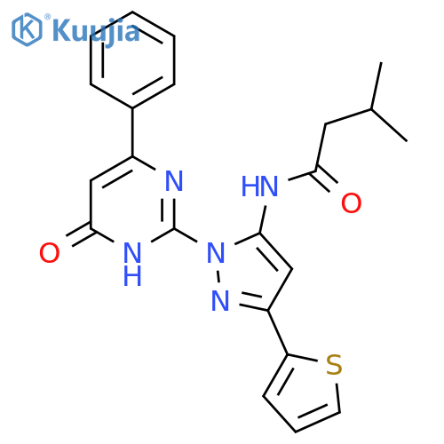 3-methyl-N-1-(6-oxo-4-phenyl-1,6-dihydropyrimidin-2-yl)-3-(thiophen-2-yl)-1H-pyrazol-5-ylbutanamide structure