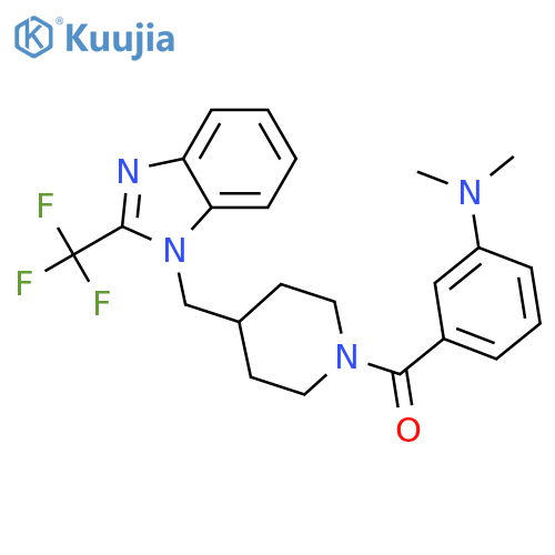 N,N-dimethyl-3-(4-{2-(trifluoromethyl)-1H-1,3-benzodiazol-1-ylmethyl}piperidine-1-carbonyl)aniline structure