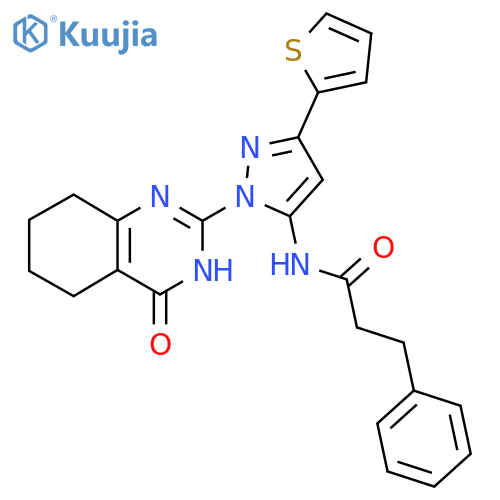 N-1-(4-oxo-3,4,5,6,7,8-hexahydroquinazolin-2-yl)-3-(thiophen-2-yl)-1H-pyrazol-5-yl-3-phenylpropanamide structure