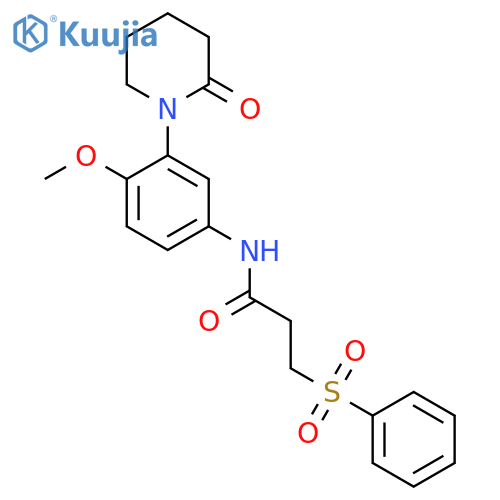 3-(benzenesulfonyl)-N-4-methoxy-3-(2-oxopiperidin-1-yl)phenylpropanamide structure