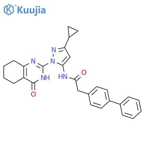 2-{1,1'-biphenyl-4-yl}-N-3-cyclopropyl-1-(4-oxo-3,4,5,6,7,8-hexahydroquinazolin-2-yl)-1H-pyrazol-5-ylacetamide structure