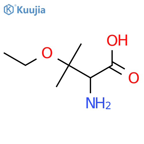 2-amino-3-ethoxy-3-methylbutanoic acid structure