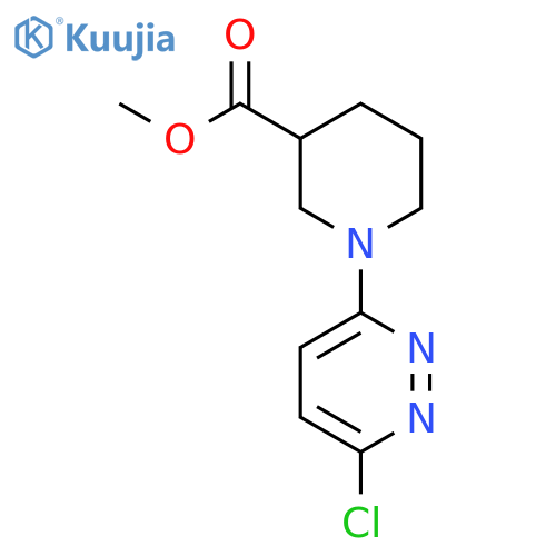 Methyl 1-(6-Chloro-3-pyridazinyl)piperidine-3-carboxylate structure