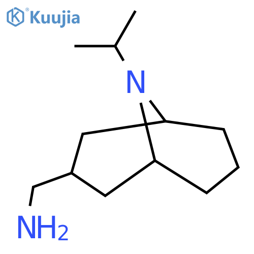 (9-isopropyl-9-azabicyclo[3.3.1]nonan-3-yl)methanamine structure