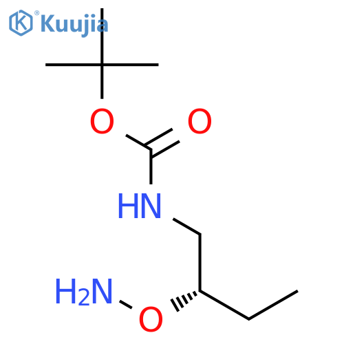 Carbamic acid,[2-(aminooxy)butyl]-, 1,1-dimethylethyl ester, (S)- (9CI) structure