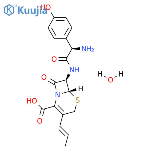 Cefprozil monohydrate structure