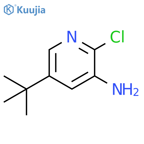 5-TERT-BUTYL-2-CHLOROPYRIDIN-3-AMINE structure