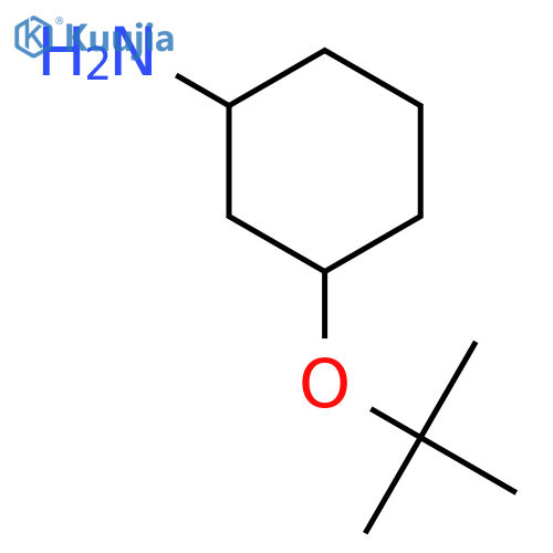 3-(tert-butoxy)cyclohexan-1-amine, Mixture of diastereomers structure