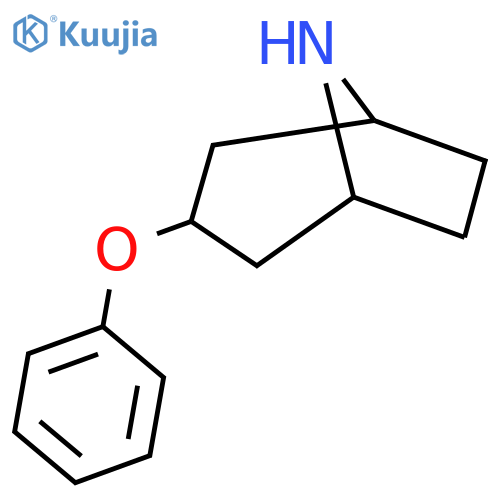 3-Phenoxy-8-azabicyclo[3.2.1]octane structure