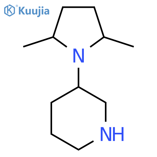3-(2,5-Dimethylpyrrolidin-1-yl)piperidine structure