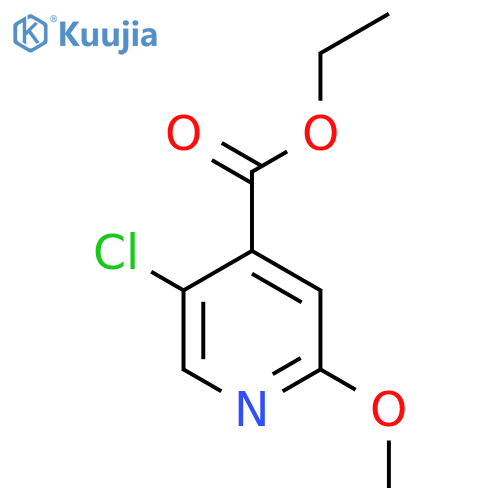 Ethyl 5-chloro-2-methoxypyridine-4-carboxylate structure