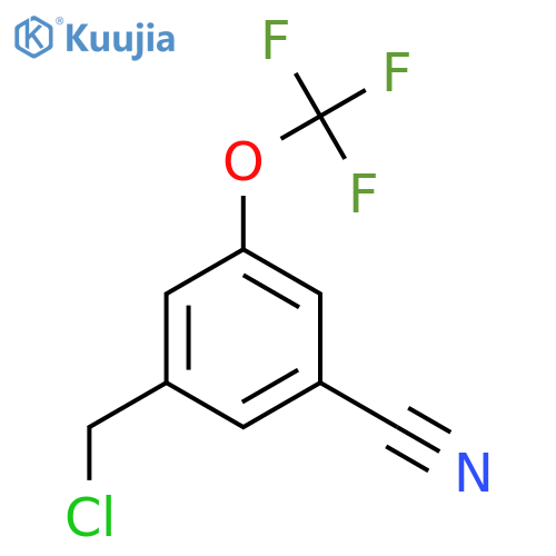 3-(Chloromethyl)-5-(trifluoromethoxy)benzonitrile structure