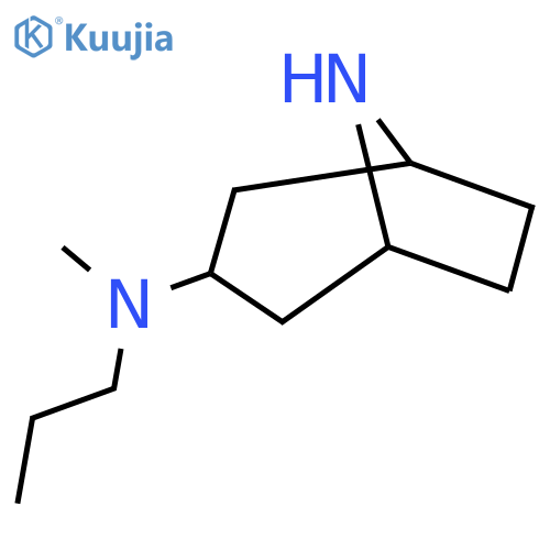 N-Methyl-N-propyl-8-azabicyclo3.2.1octan-3-amine structure