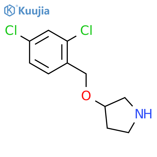 3-((2,4-Dichlorobenzyl)oxy)pyrrolidine structure