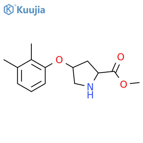 Methyl (2S,4S)-4-(2,3-dimethylphenoxy)-2-pyrrolidinecarboxylate structure