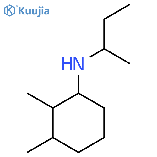 N-(butan-2-yl)-2,3-dimethylcyclohexan-1-amine structure