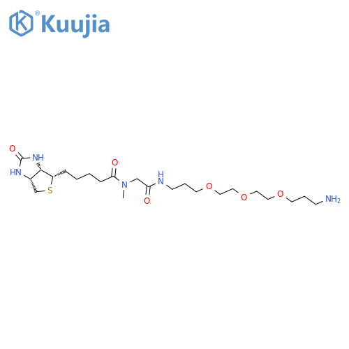 13-Amino-4,7,10-trioxatridecanyl-2,2’,3,3’,11,11’,12,12’-d8)-N-methyl-N-biotinylglycinamide structure