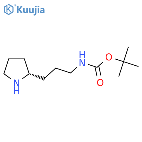 (r)-(3-Pyrrolidin-2-yl-propyl)-carbamic acid tert-butyl ester structure