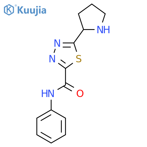 N-Phenyl-5-pyrrolidin-2-yl-1,3,4-thiadiazole-2-carboxamide structure