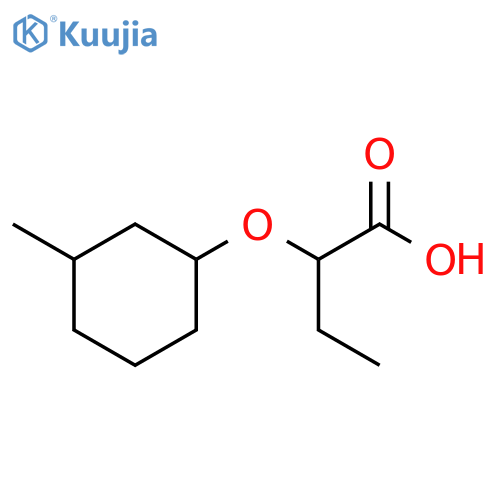 2-(3-Methylcyclohexyl)oxybutanoic Acid structure