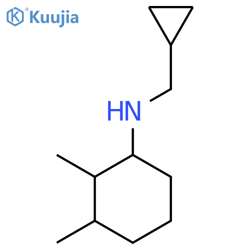 N-(cyclopropylmethyl)-2,3-dimethylcyclohexan-1-amine structure